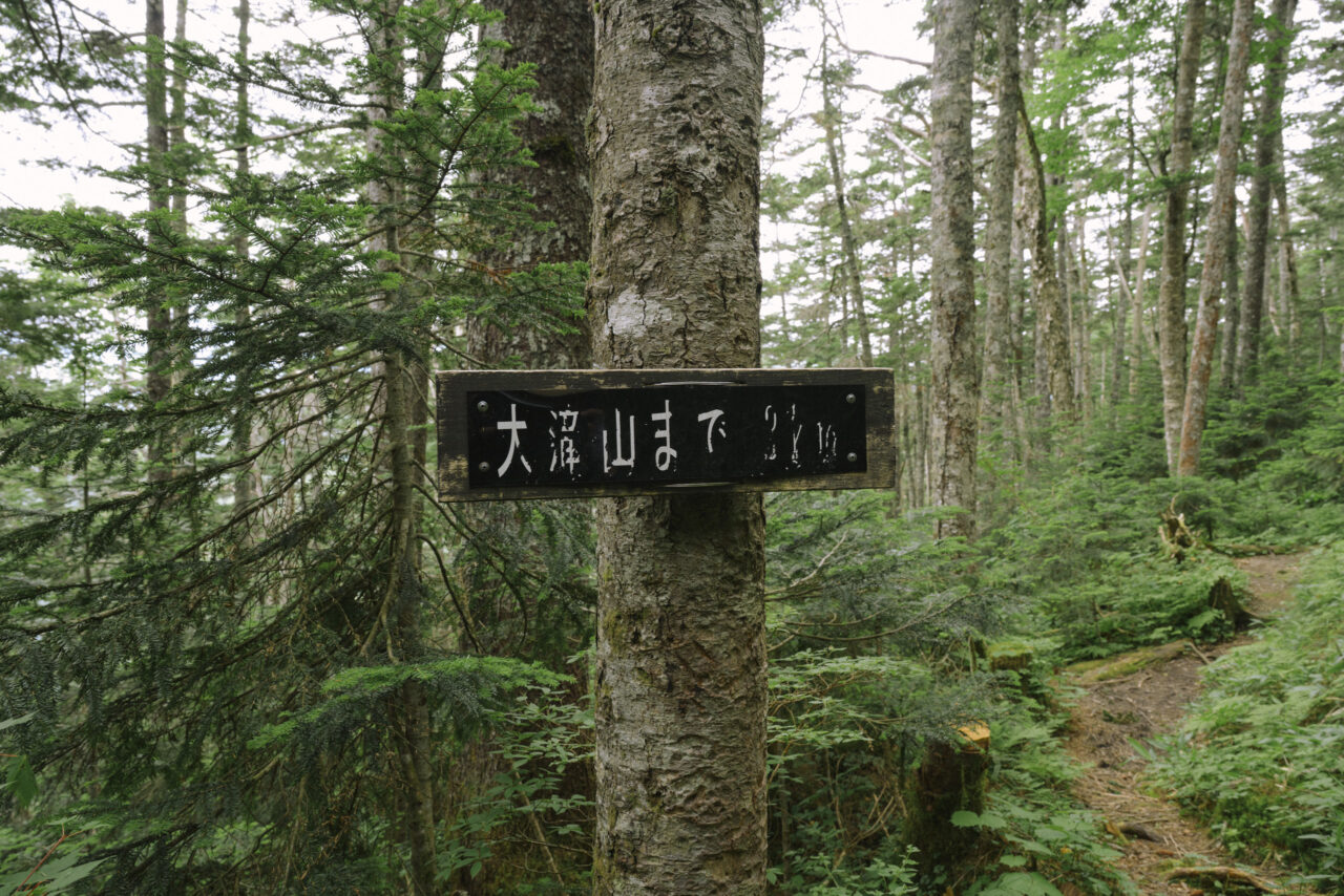 大滝山まであと2キロ