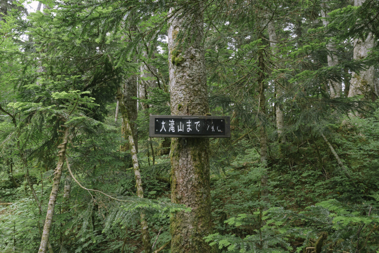 大滝山までを誘う看板