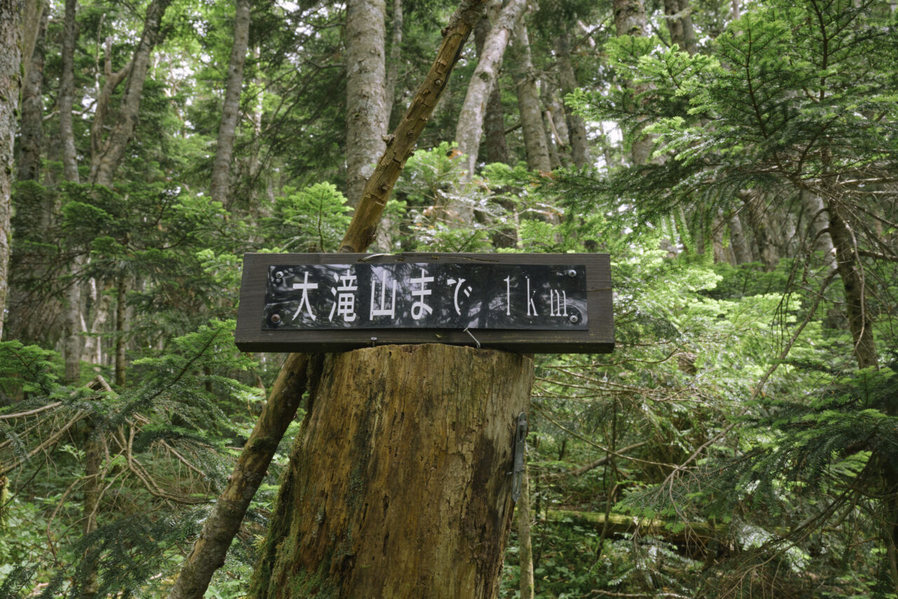 大滝山まであと1キロ
