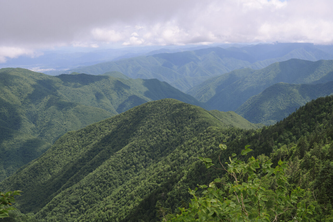 樹林帯が広がる大滝山周辺