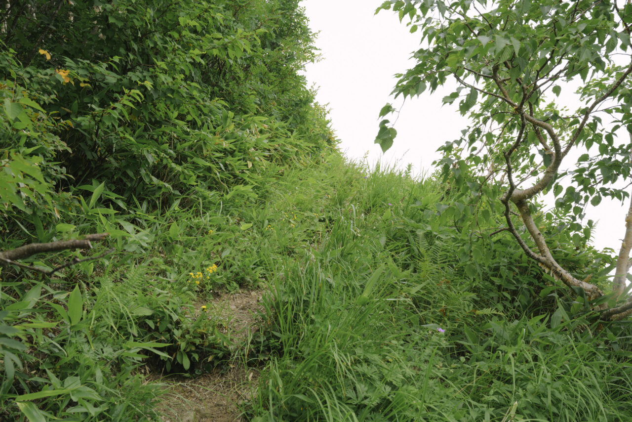 草地の尾根を進む