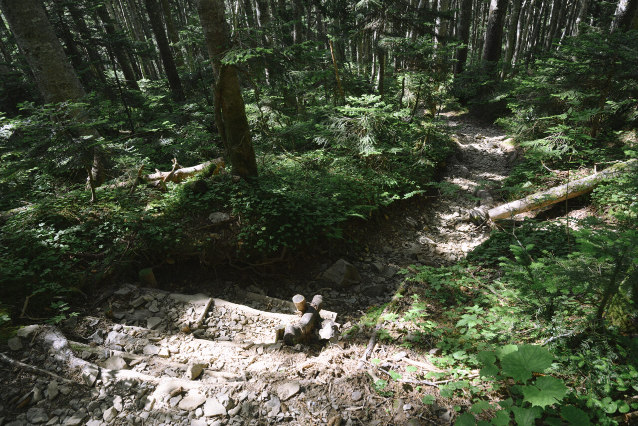整備された北アルプスの登山道