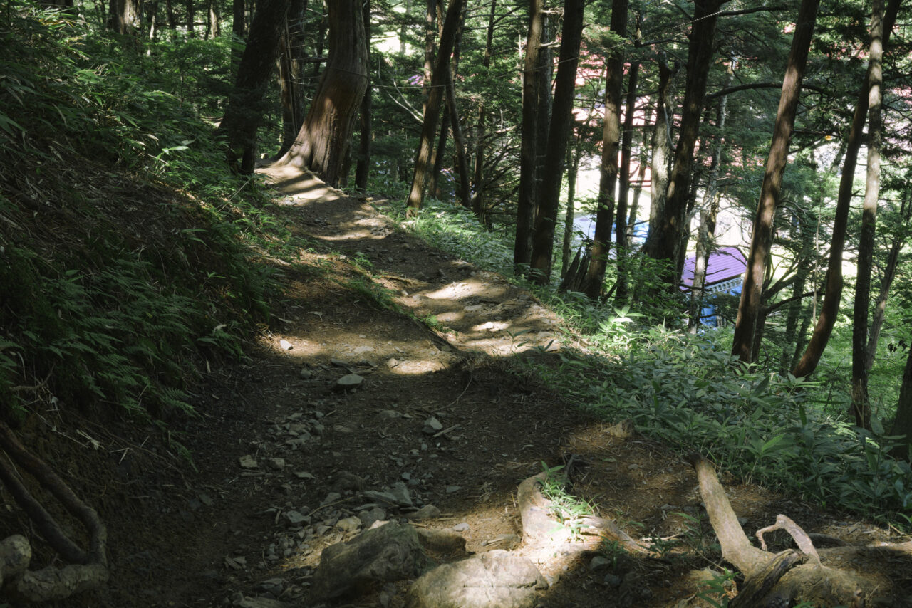 徳澤への下山路