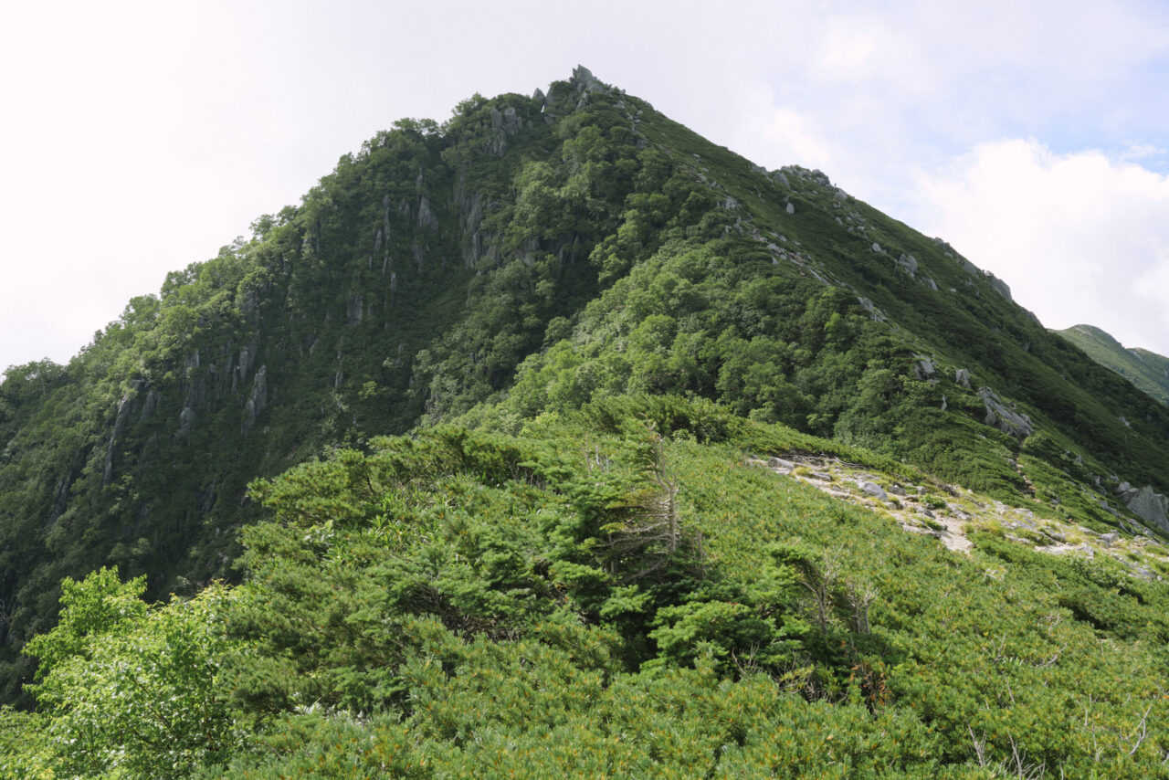 濁沢大峰方面の山