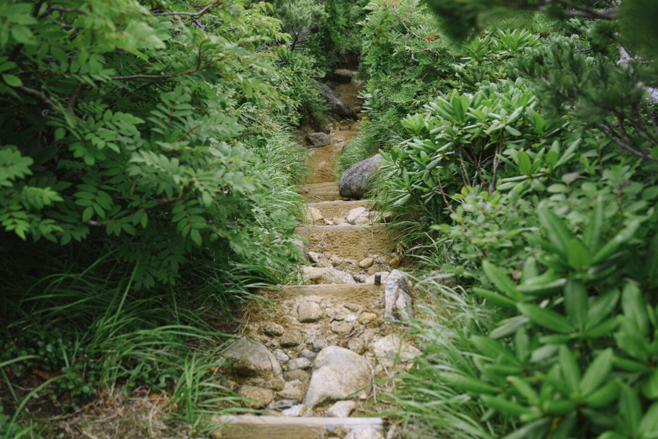 木組みの登山道を下る