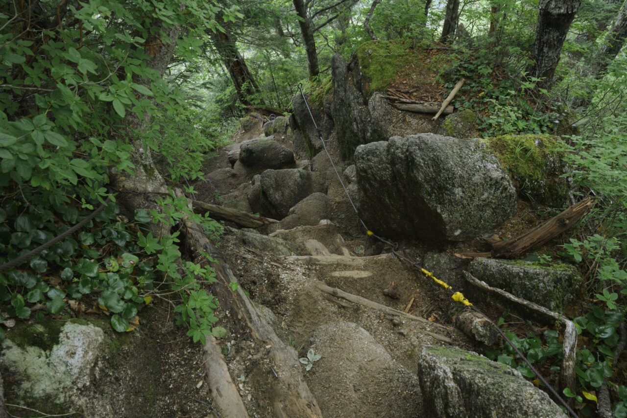 ワイヤーが張り巡らされた登山道