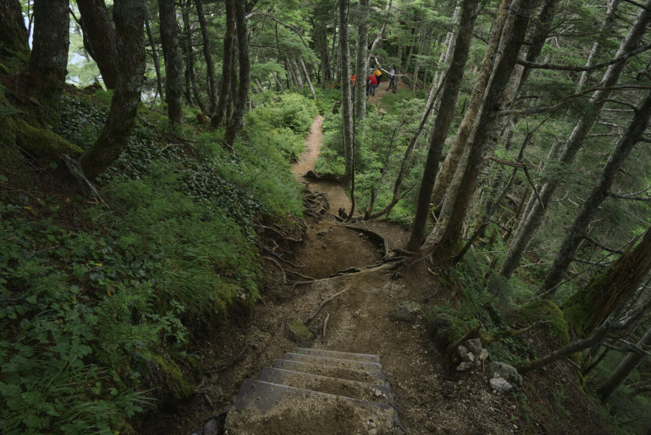 急激な坂道が続く登山道
