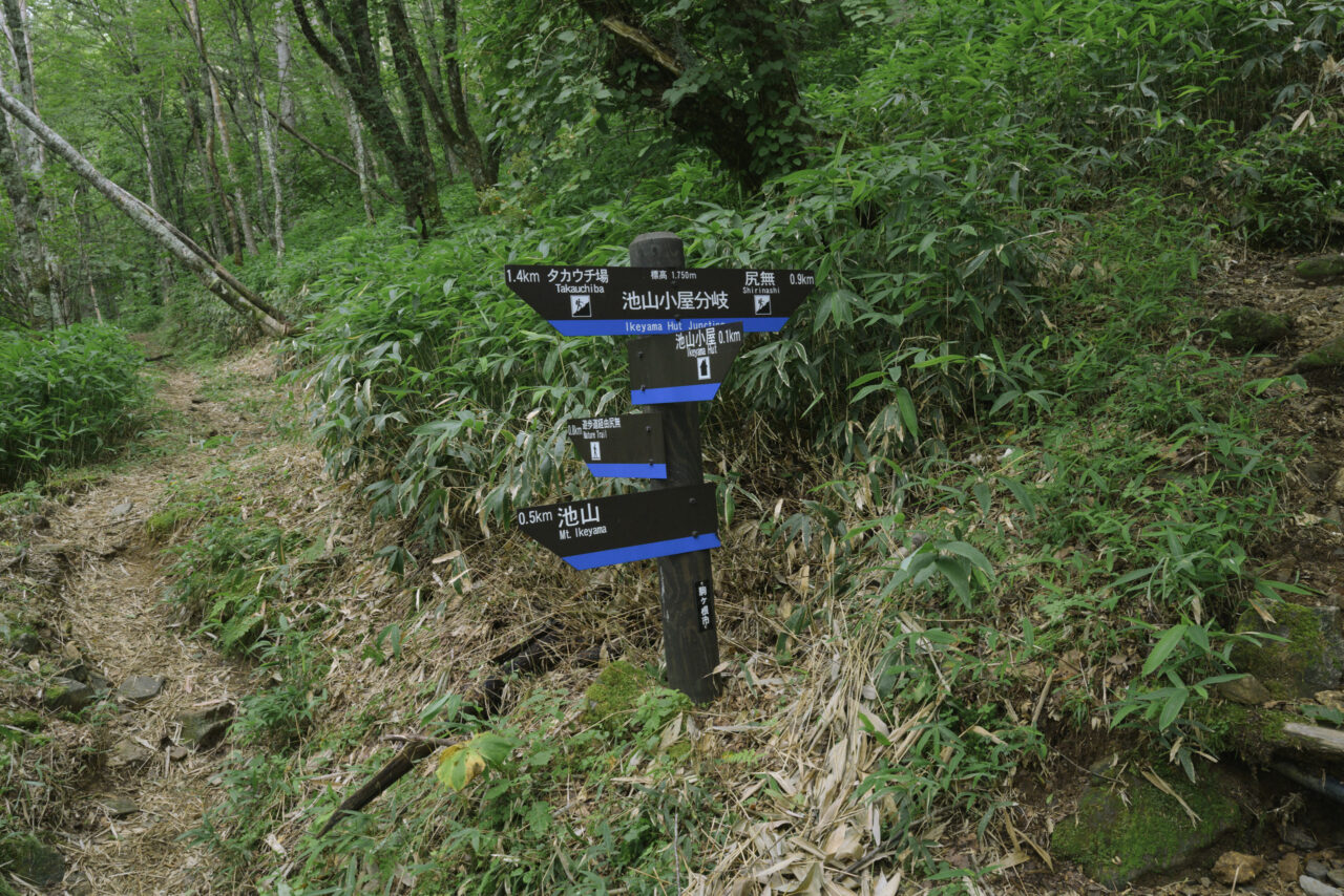池山小屋分岐点