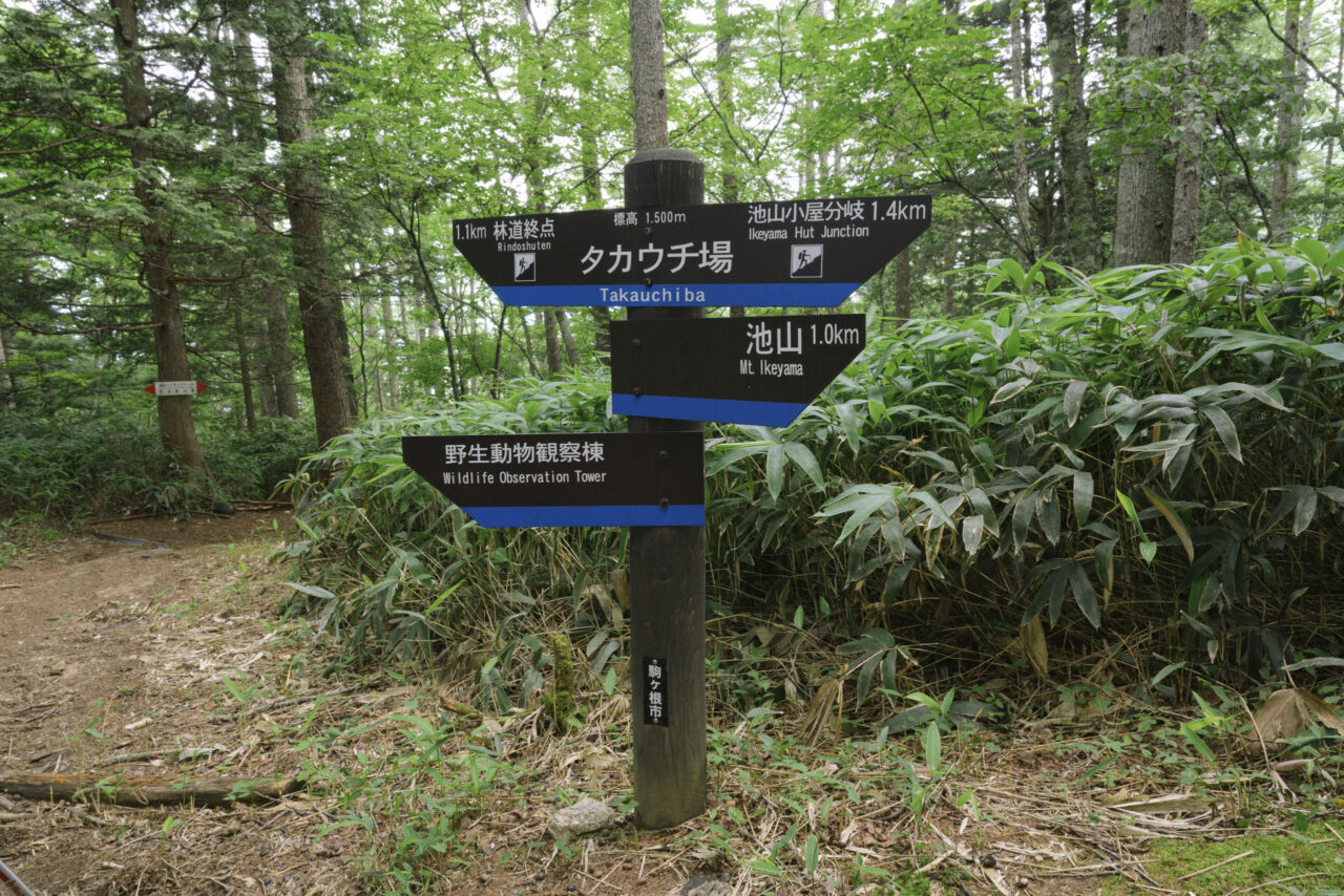 タカウチ場