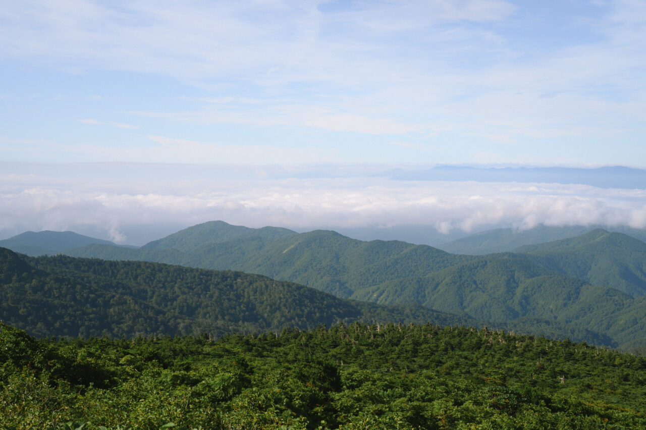 刈田岳から見下ろす南陽方面の雲海
