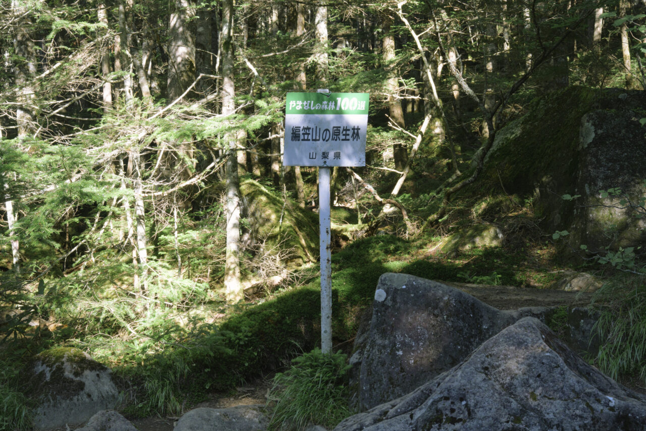 編笠山原生林