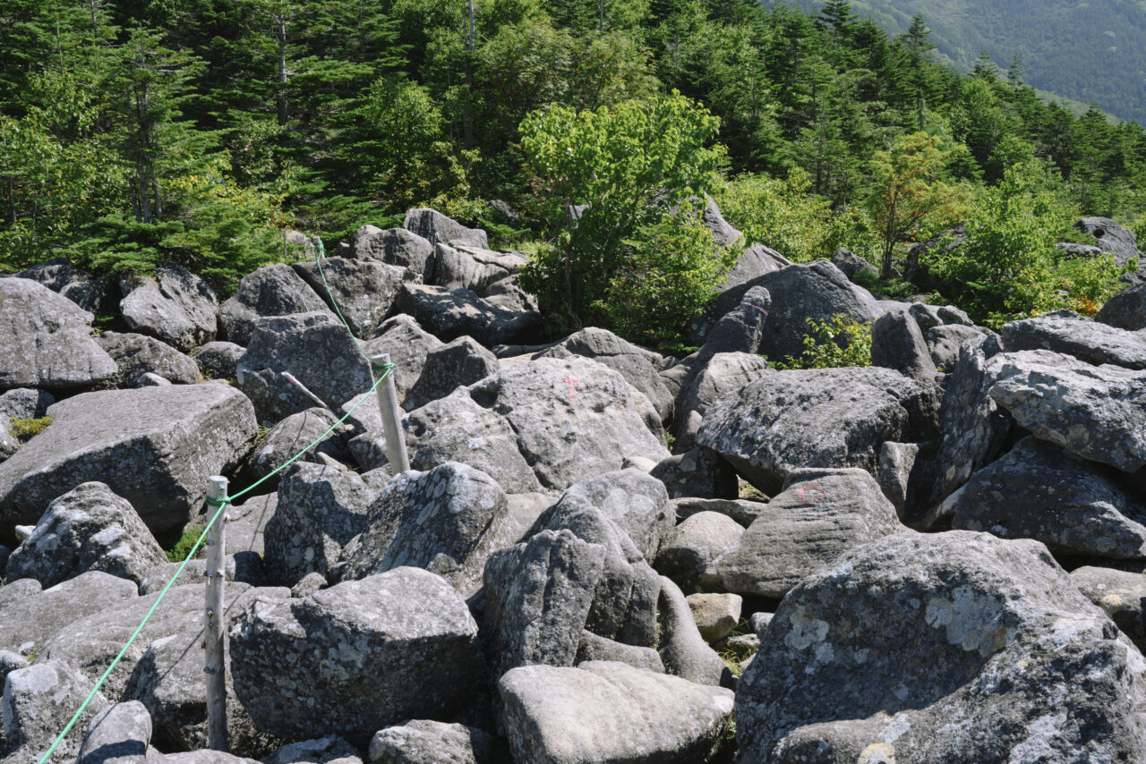 岩の上に作られた登山道