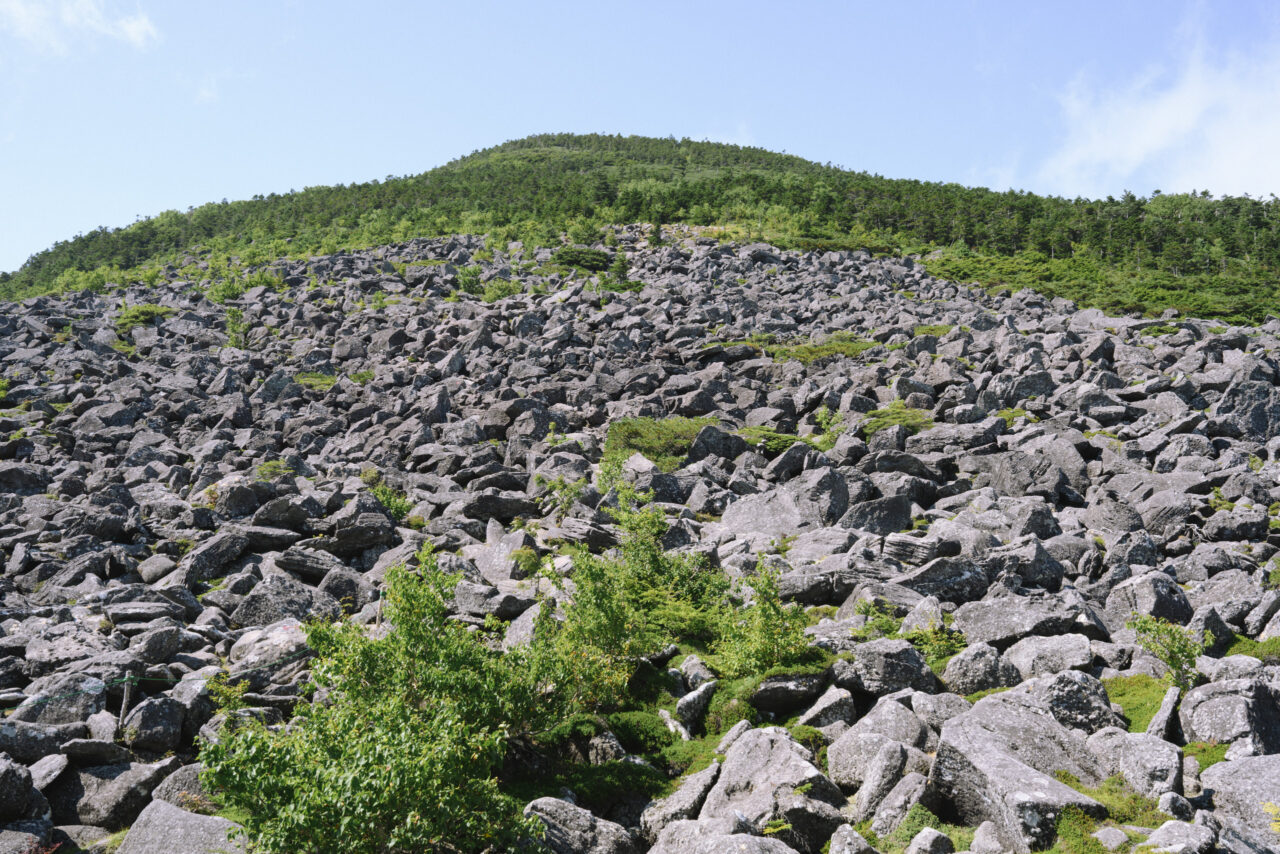 青年小屋から見上げる編笠山登山道