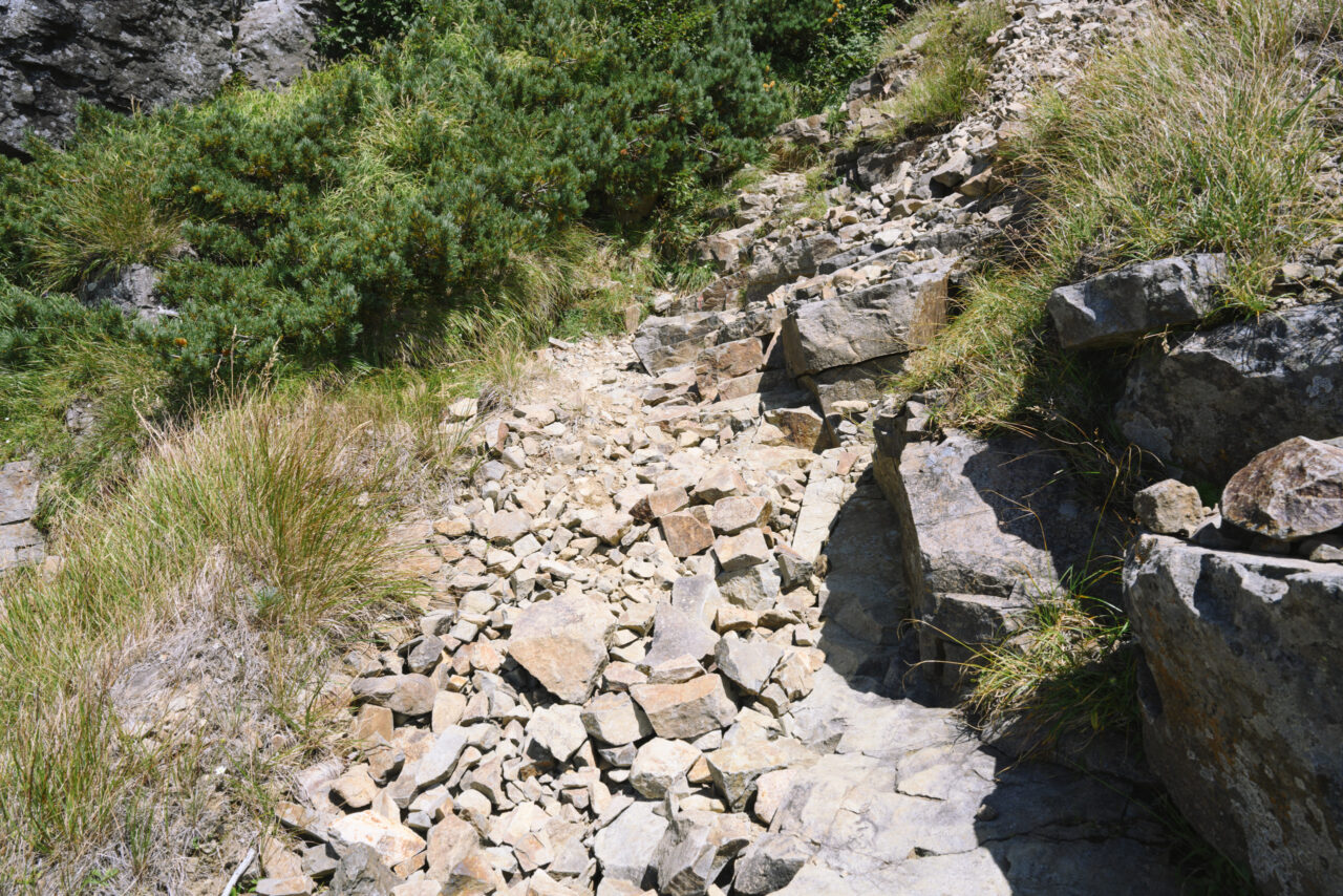 岩が敷き詰められた登山道