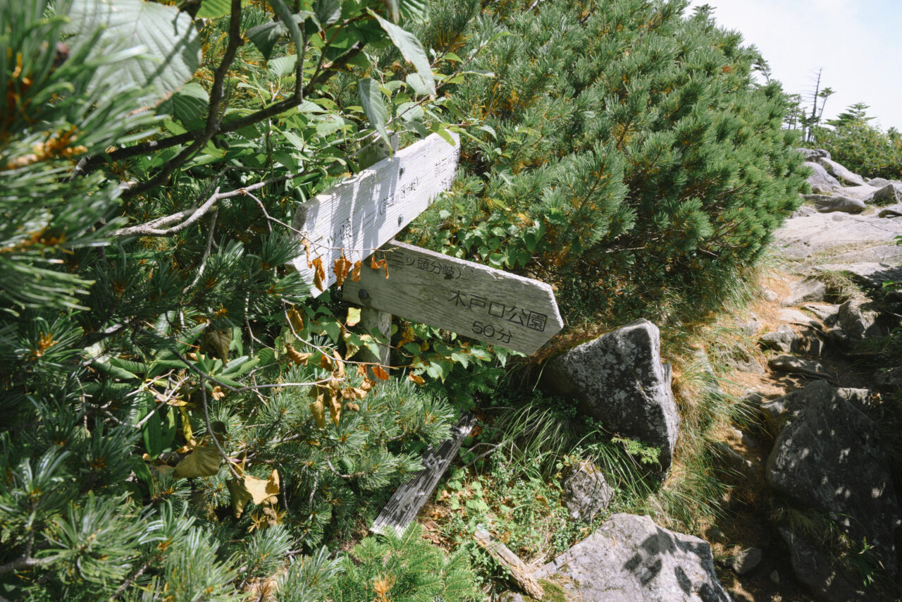 天女山分岐点