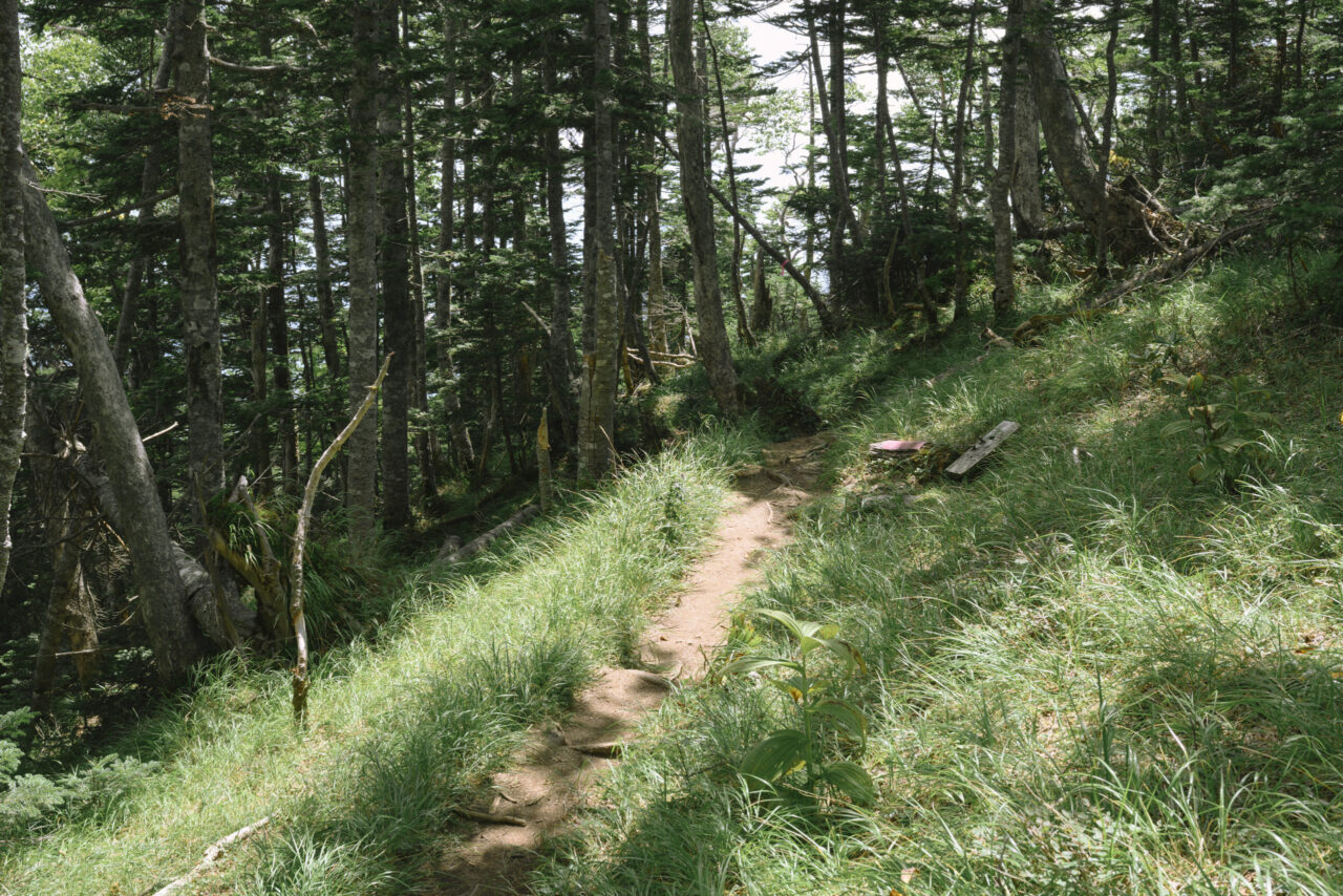 木戸口方面の登山道