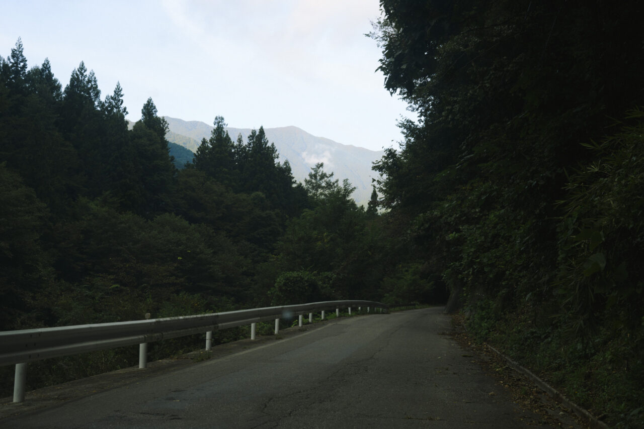 桂小場へ向かう林道