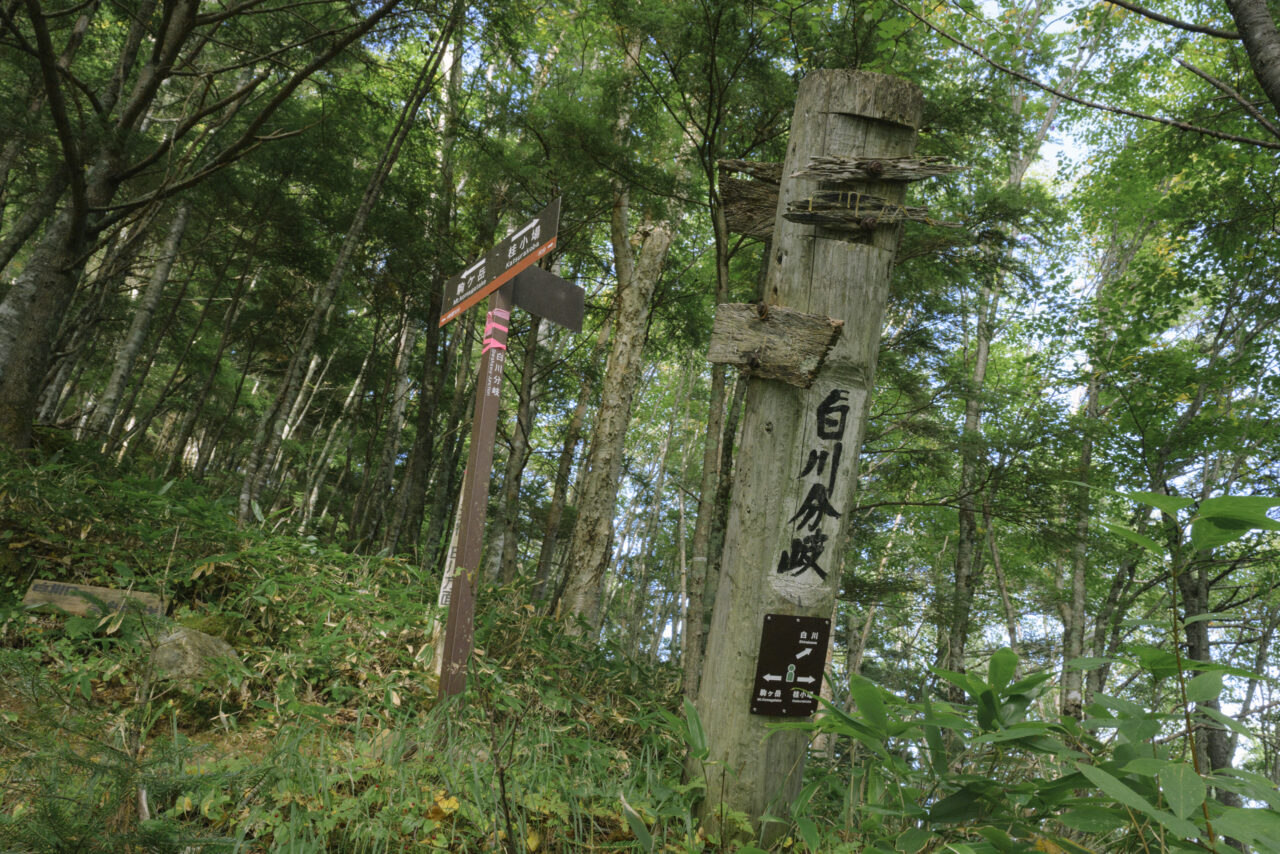 白川分岐点