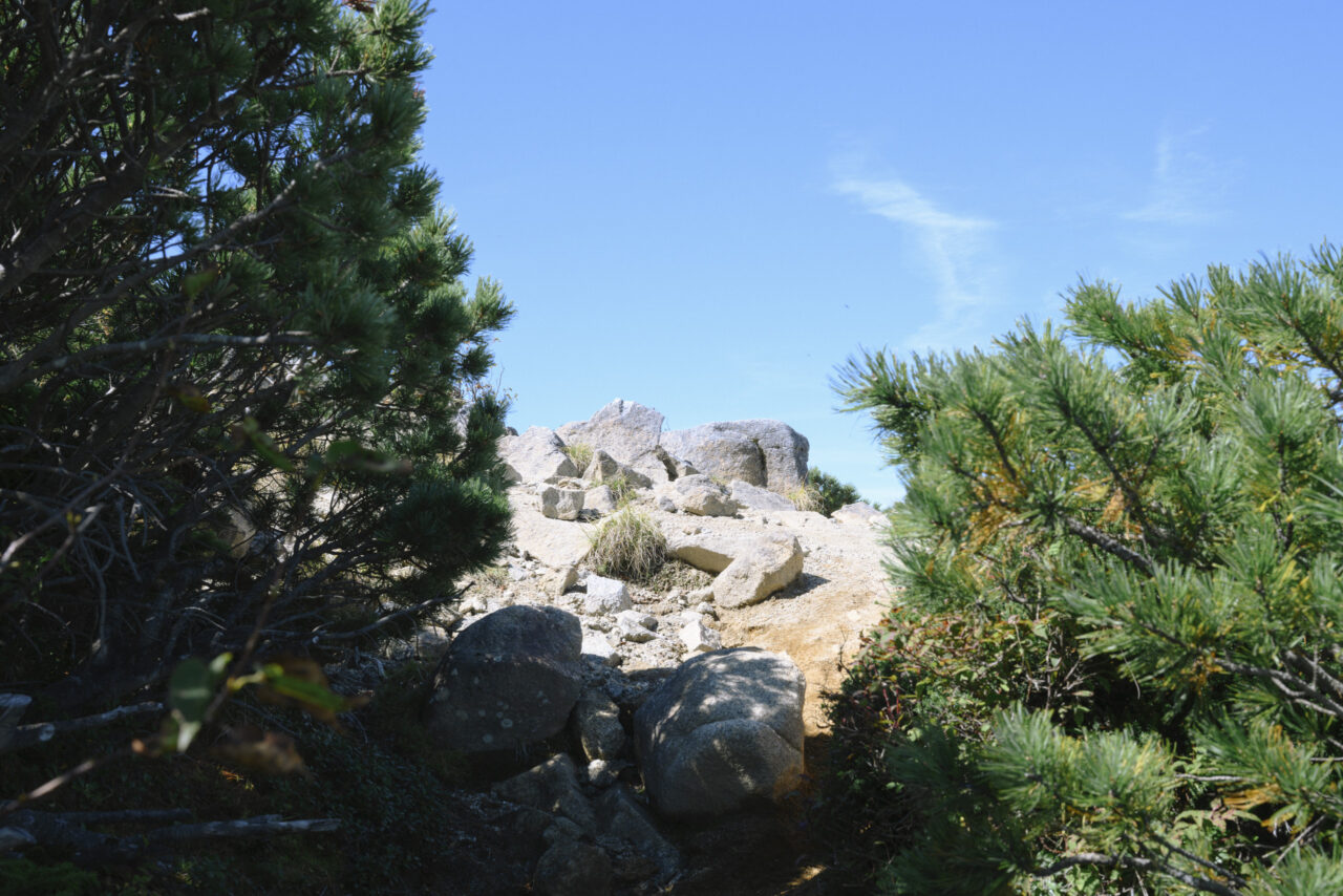 将棊頭山稜線部