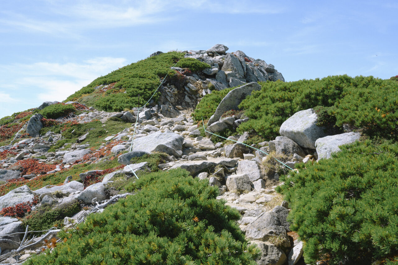 馬の背の稜線に通された登山道
