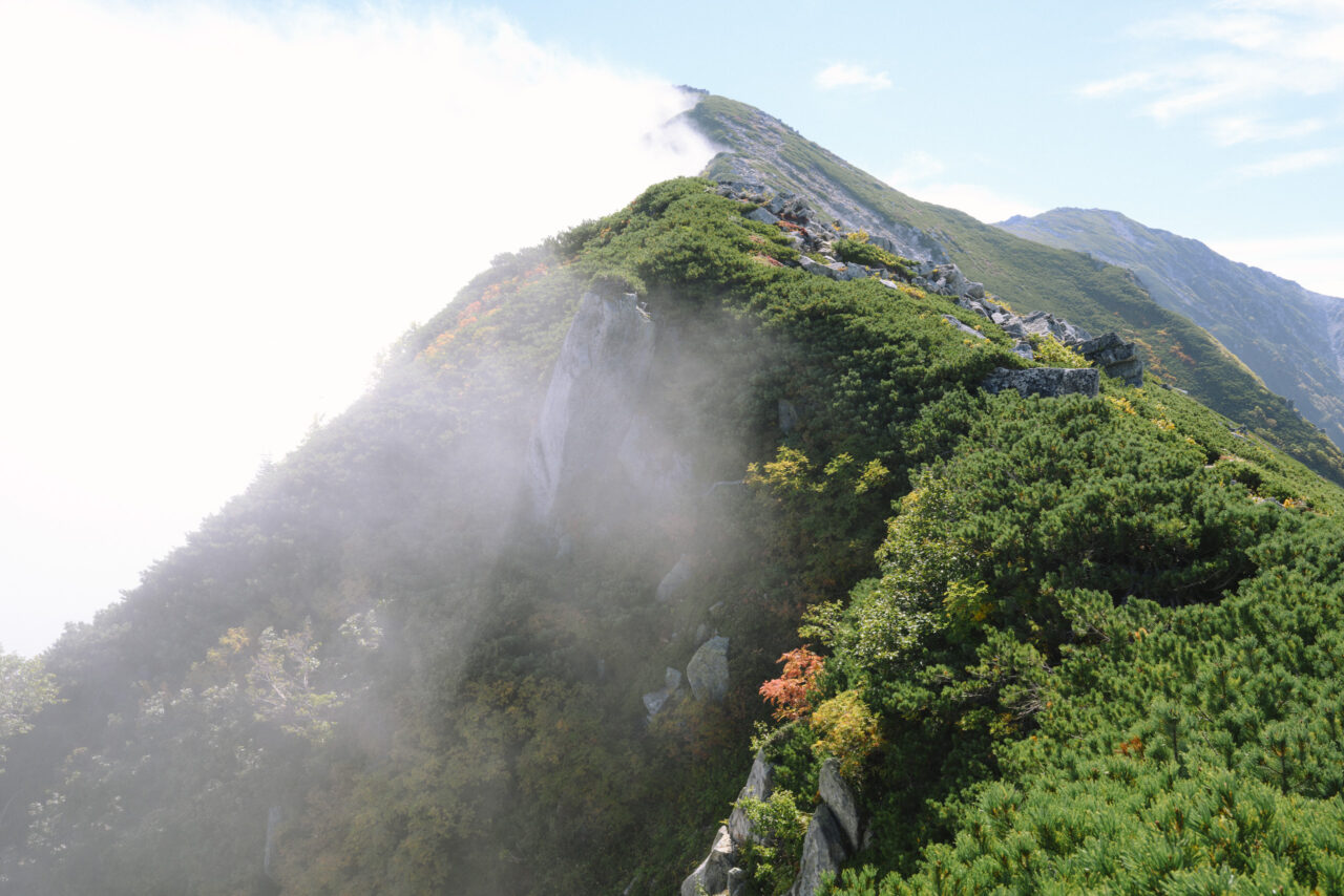 急峻な稜線地帯を振り返る