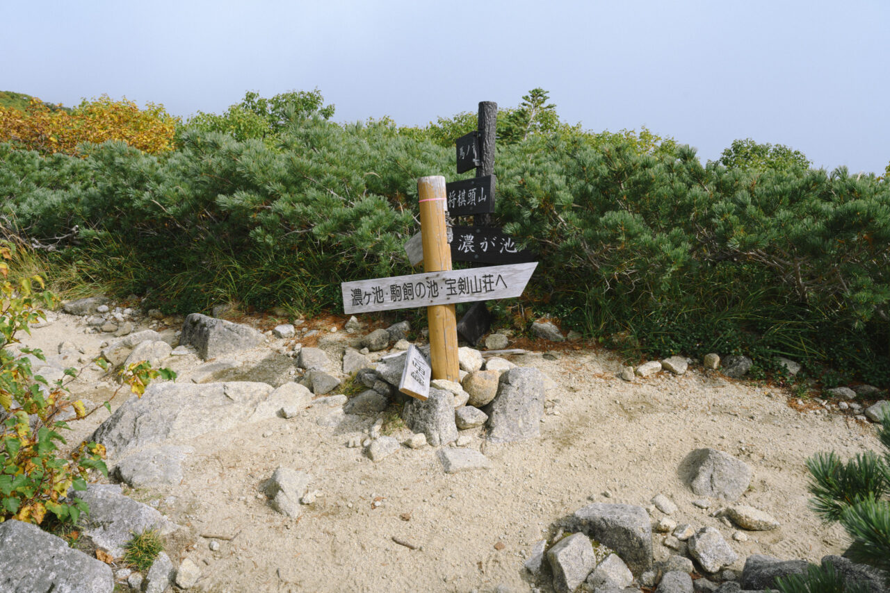 濃ヶ池分岐へ戻る