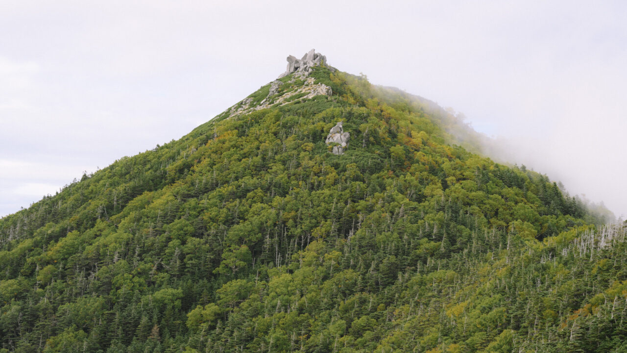 茶臼岳山頂を眺める