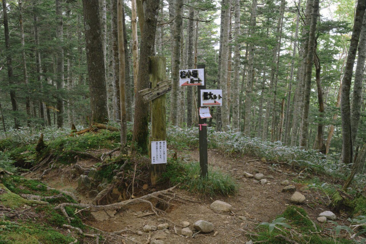 信州大学ルート分岐点