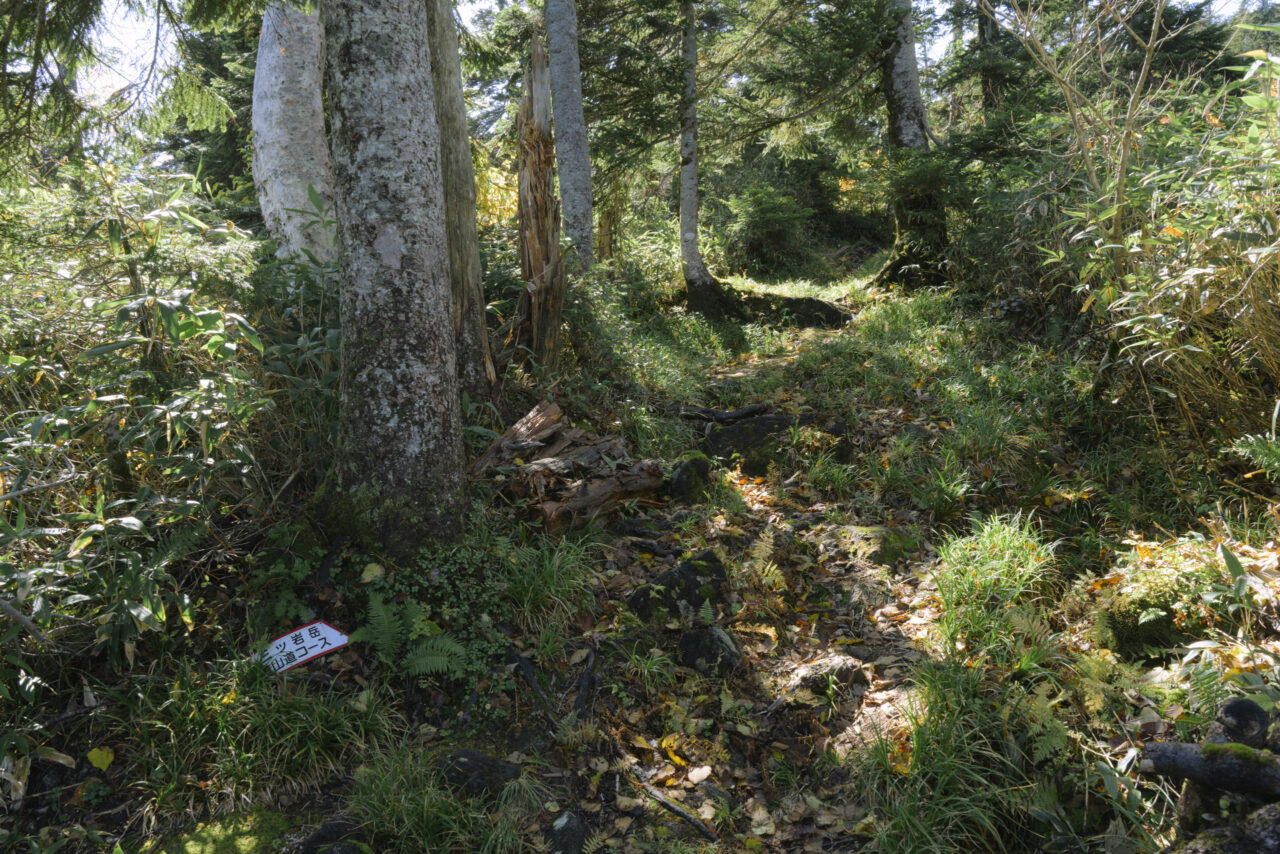 避難小屋から山頂へ続く道