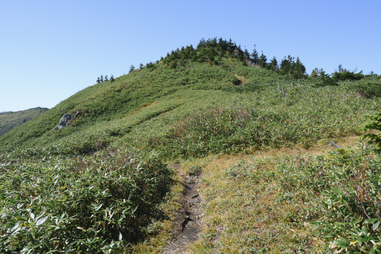 目の前に現れる三ツ岩岳山頂