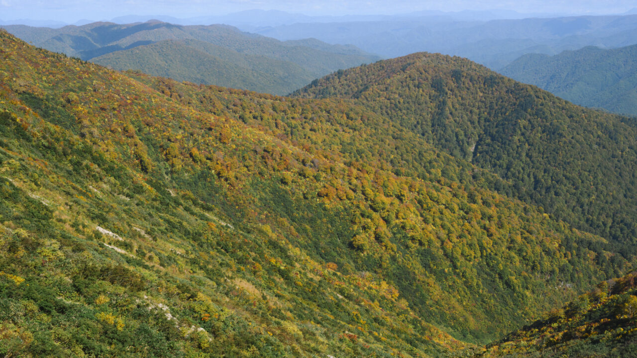窓明山から見る巽沢山