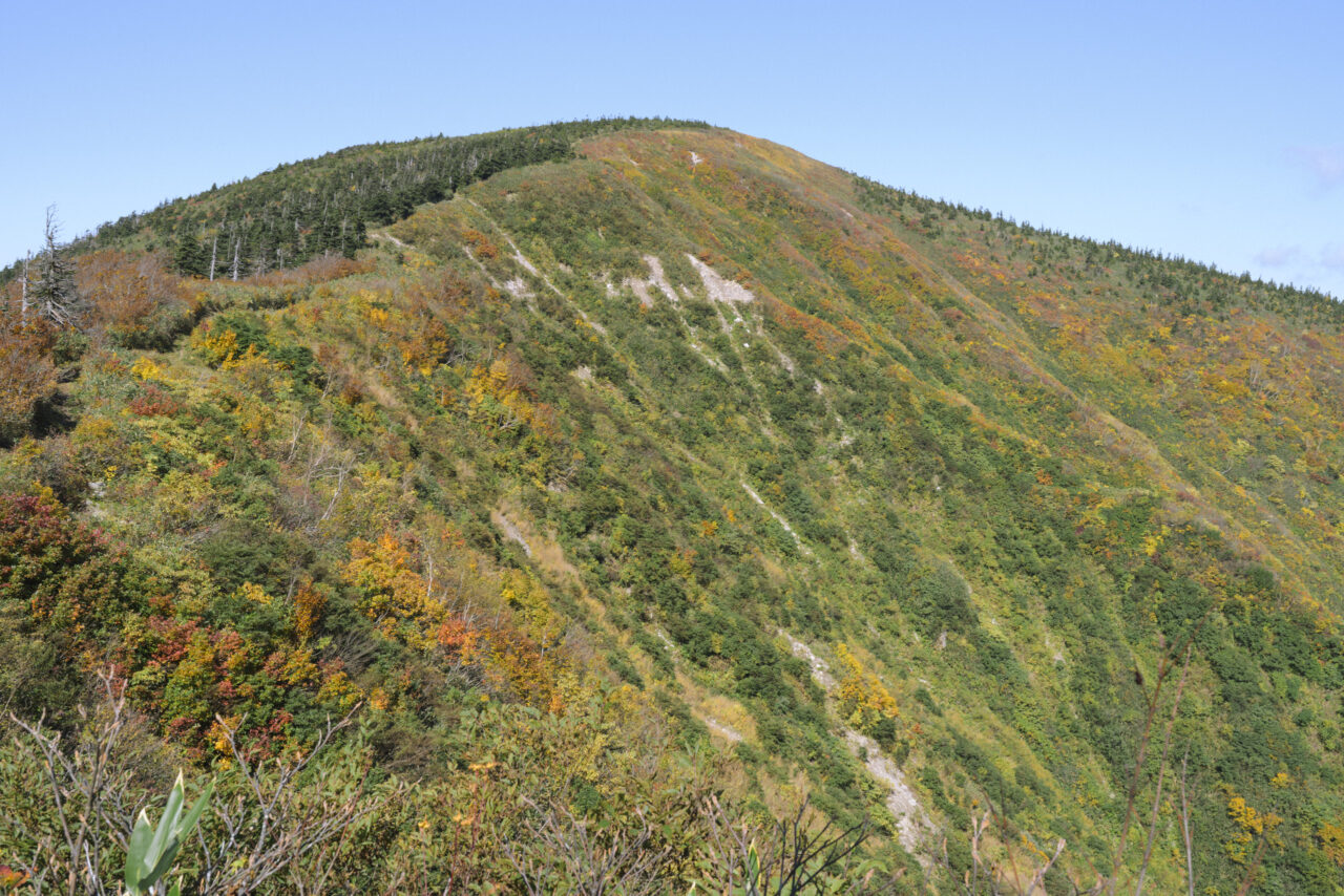 窓明山山頂方面