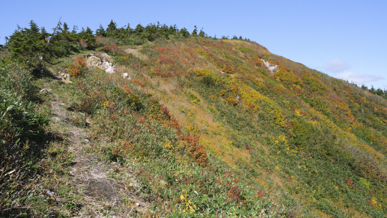 窓明山山頂へ続く道