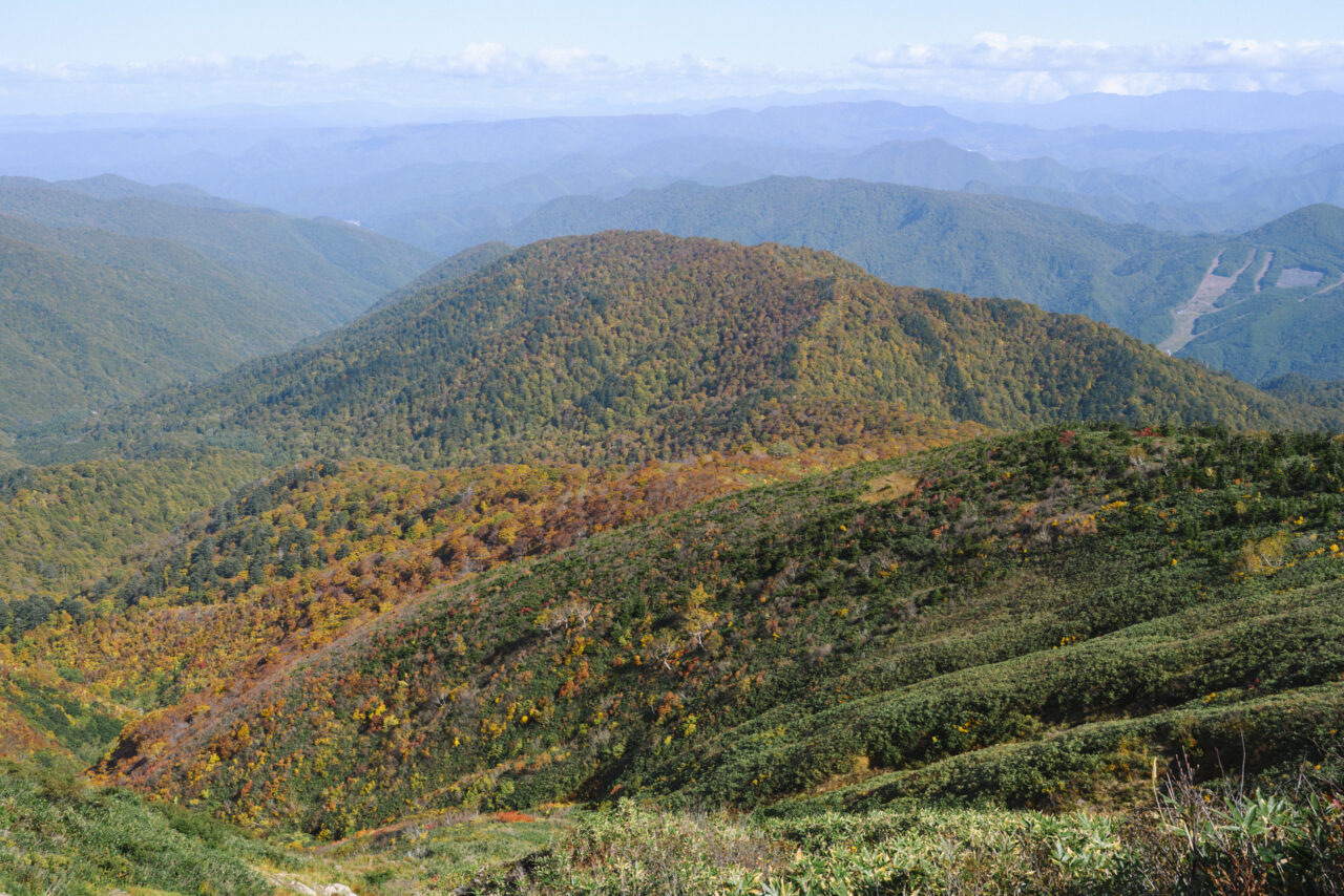 窓明山から見る巽沢山