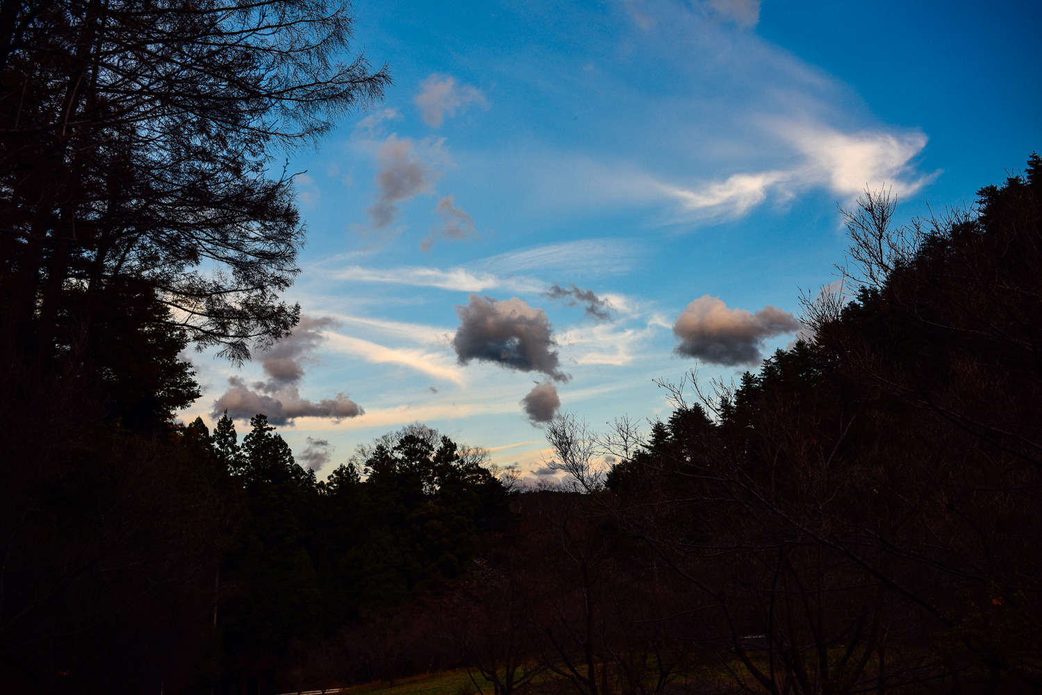 f:id:sakemaro:20160105000502j:plain f:id:sakemaro:20160105000502j:plain