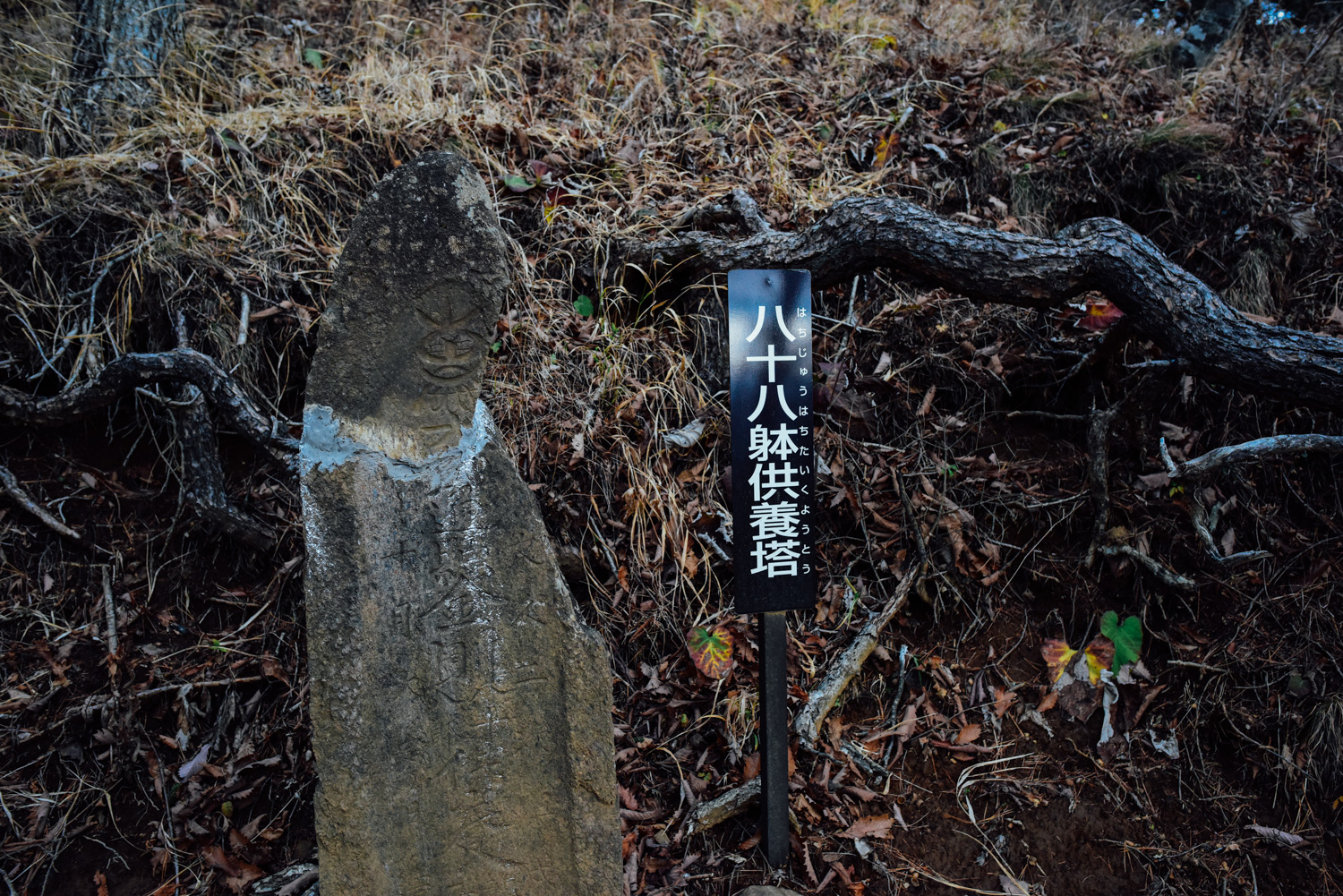 f:id:sakemaro:20160105000515j:plain f:id:sakemaro:20160105000515j:plain