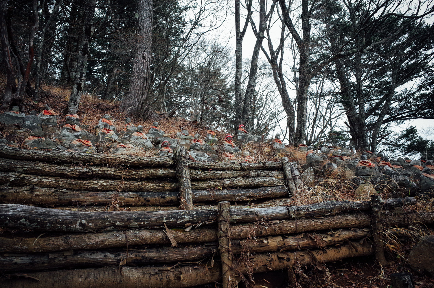 f:id:sakemaro:20160105000517j:plain f:id:sakemaro:20160105000517j:plain