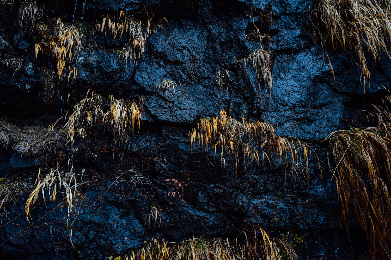 f:id:sakemaro:20160105000524j:plain f:id:sakemaro:20160105000524j:plain