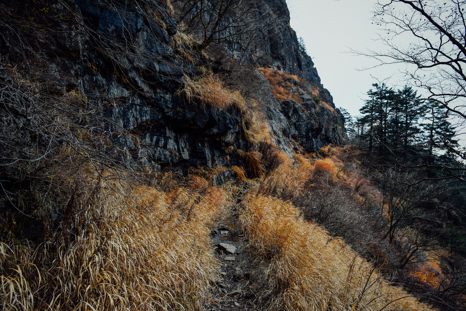 f:id:sakemaro:20160105000525j:plain f:id:sakemaro:20160105000525j:plain