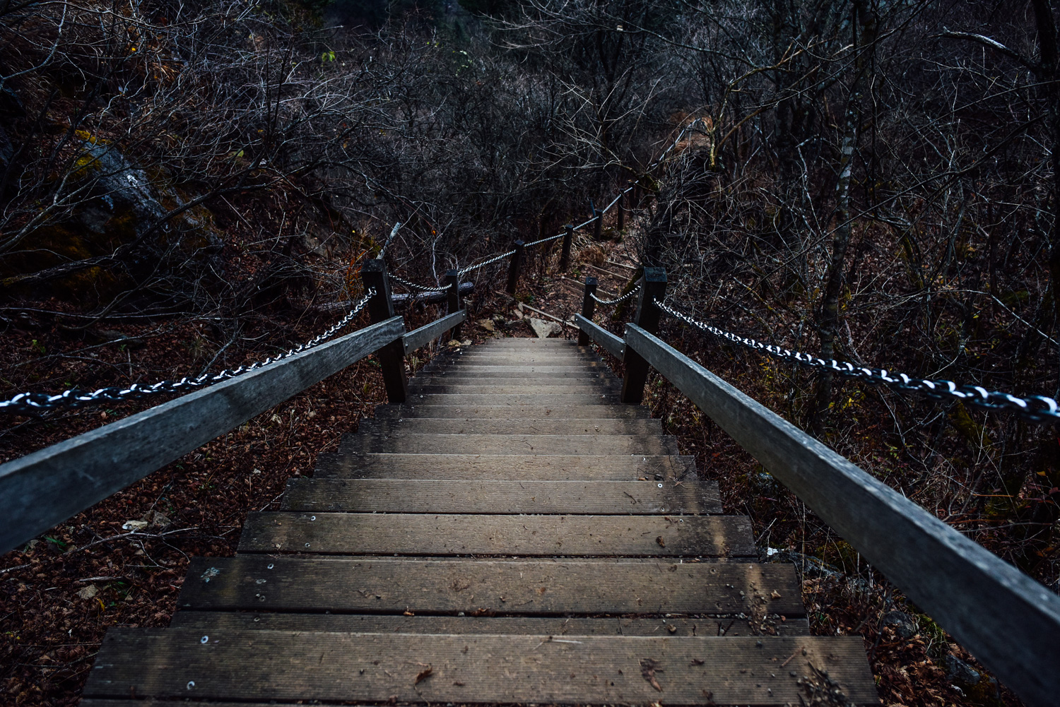 f:id:sakemaro:20160105000526j:plain f:id:sakemaro:20160105000526j:plain