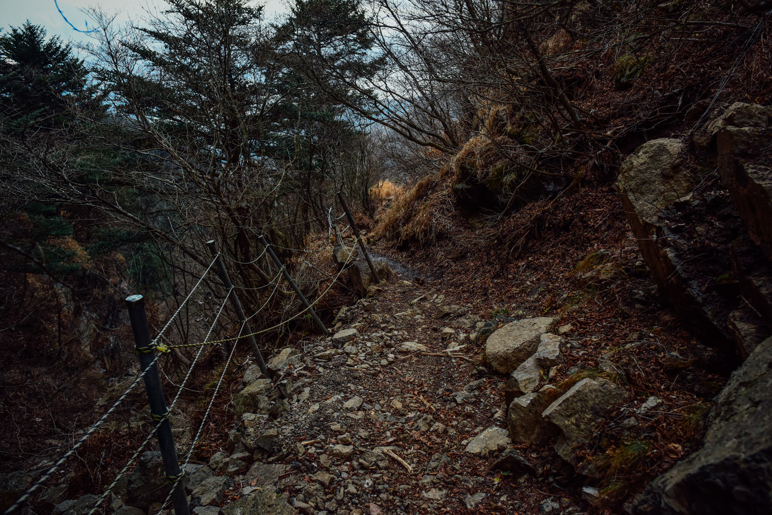 f:id:sakemaro:20160105000527j:plain f:id:sakemaro:20160105000527j:plain