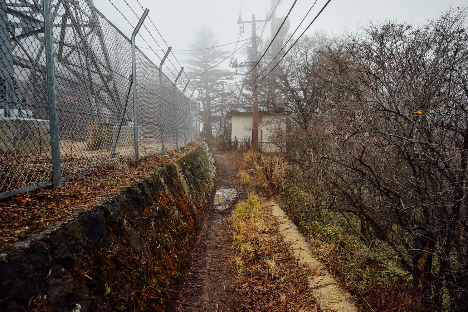 f:id:sakemaro:20160105000537j:plain f:id:sakemaro:20160105000537j:plain