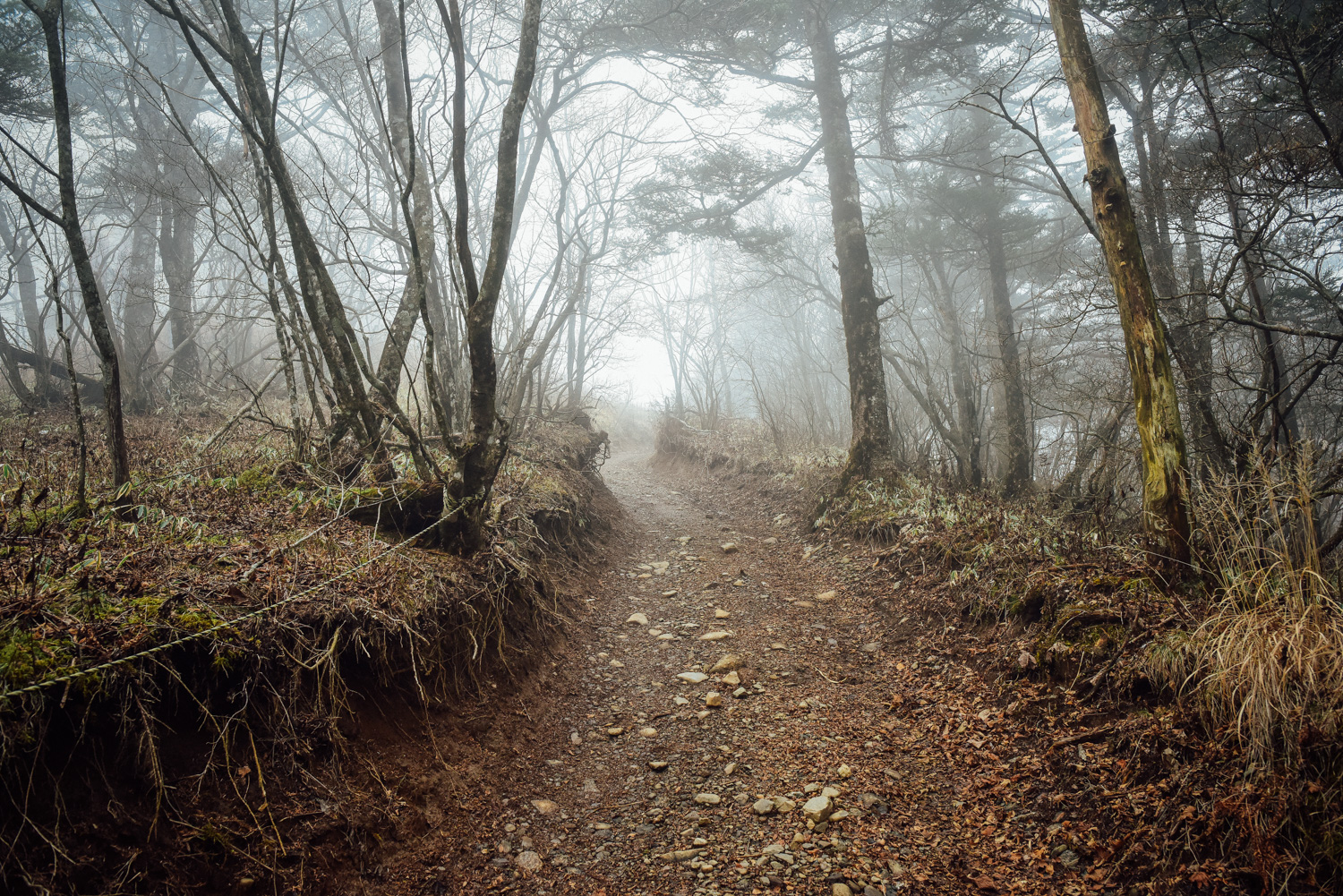 f:id:sakemaro:20160105000538j:plain f:id:sakemaro:20160105000538j:plain