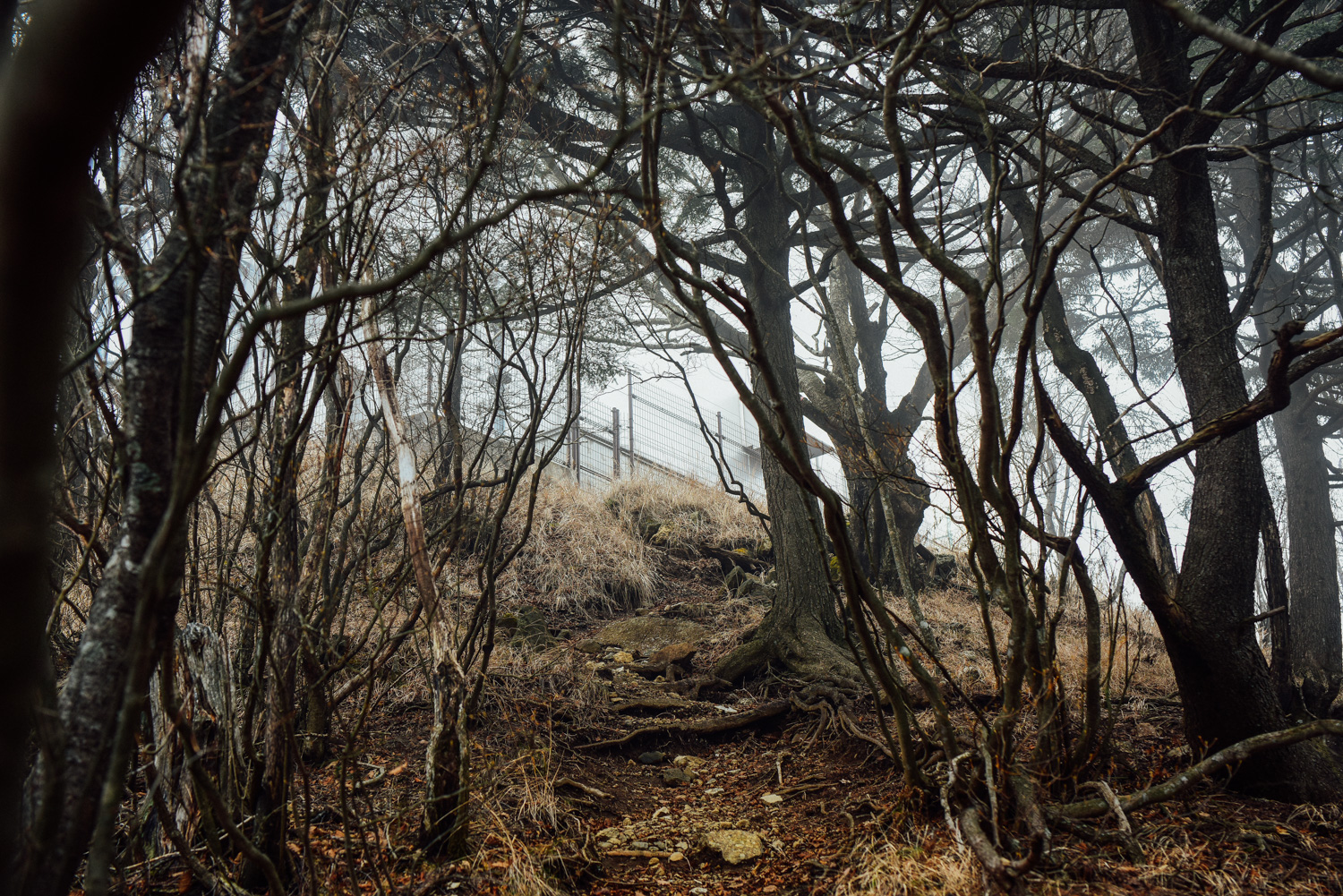 f:id:sakemaro:20160105000547j:plain f:id:sakemaro:20160105000547j:plain