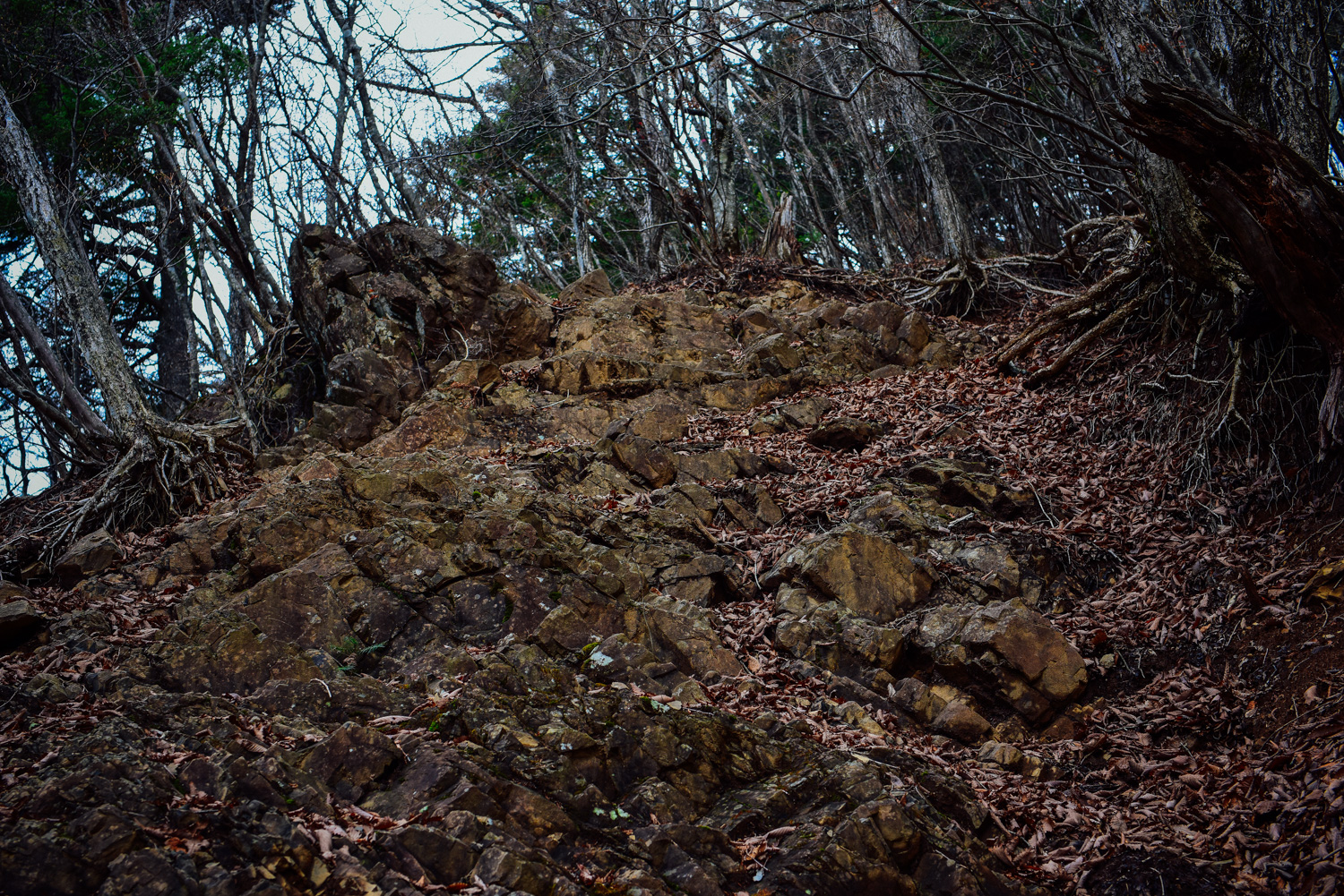 f:id:sakemaro:20160105000550j:plain f:id:sakemaro:20160105000550j:plain