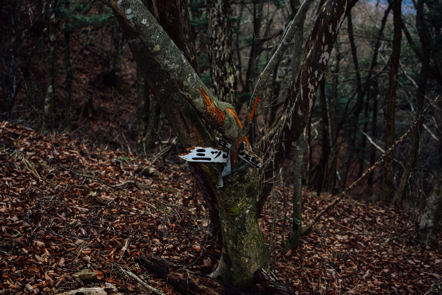 f:id:sakemaro:20160105000551j:plain f:id:sakemaro:20160105000551j:plain