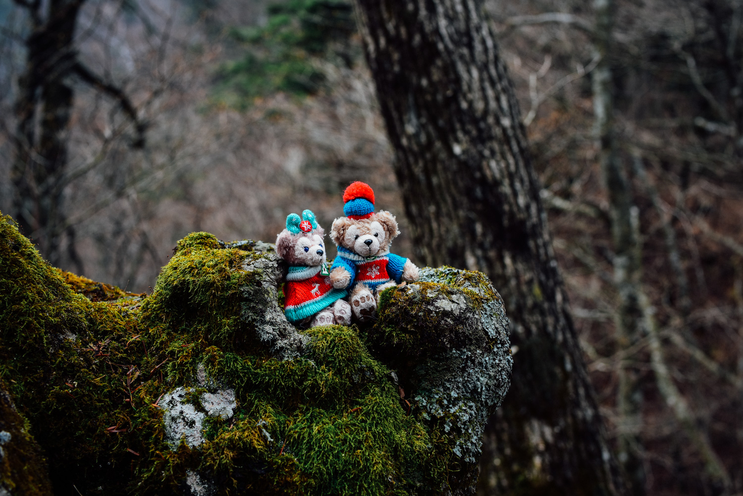 f:id:sakemaro:20160105000552j:plain f:id:sakemaro:20160105000552j:plain