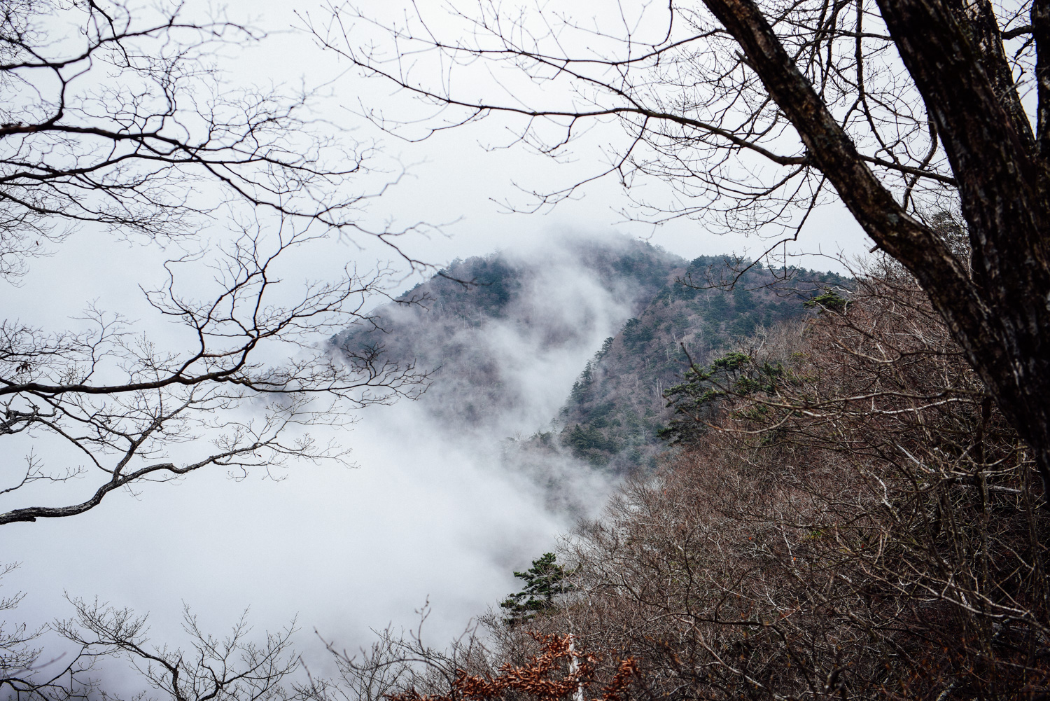 f:id:sakemaro:20160105000553j:plain f:id:sakemaro:20160105000553j:plain