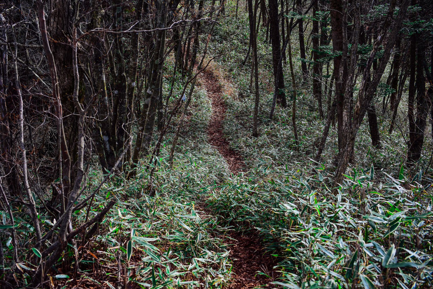 f:id:sakemaro:20160105000554j:plain f:id:sakemaro:20160105000554j:plain