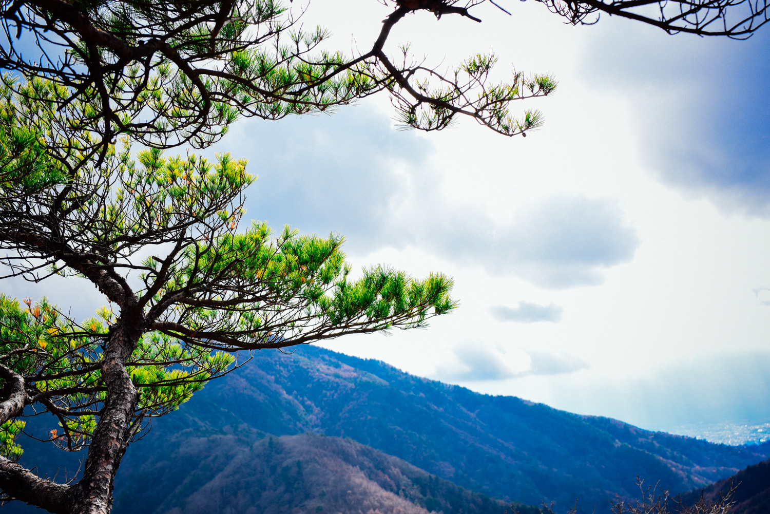 f:id:sakemaro:20160105000557j:plain f:id:sakemaro:20160105000557j:plain